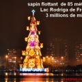 sapin lac