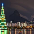sapin rio