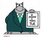 Sans titre 7