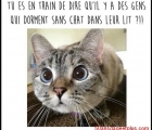 Sans titre 18