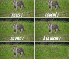 Sans titre 6