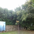 dans nature