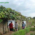 visite guidee