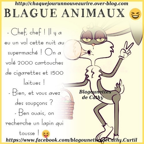 Sans titre 2
