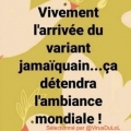 Sans titre 5