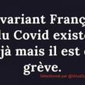 Sans titre 7
