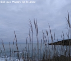 mer aux viviers