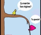 Sans titre 9