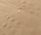 traces mer