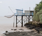 estuaire 2