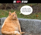Sans titre 1