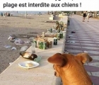 Sans titre 2