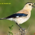 Sans titre 24