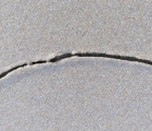 coquillage sillon