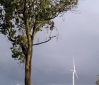 eolienne