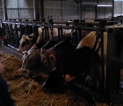 enfts et andree