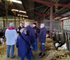 expli ds ferme