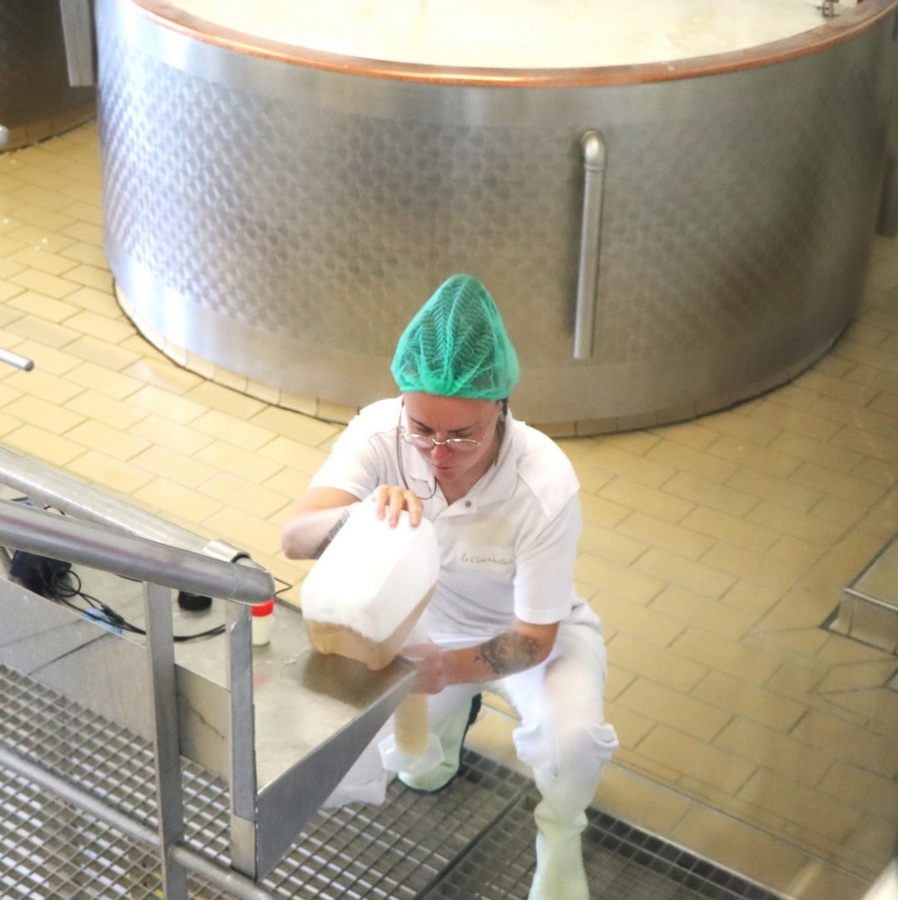 fromage 4
