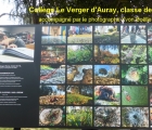 auray general