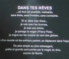 cadou poeme
