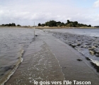 Sans titre 14