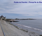 penvins