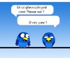 Sans titre 4