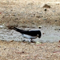 P1290008
