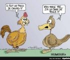 Sans titre 7