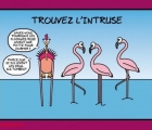 Sans titre 7