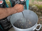 1 moules