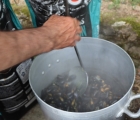 1 moules