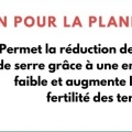 Sans titre 4