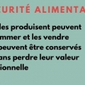 Sans titre 5