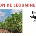 Sans titre 6