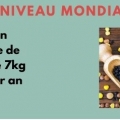 Sans titre 7