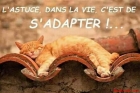 Sans titre 19