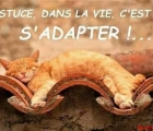 Sans titre 19