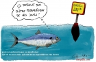 Sans titre 17