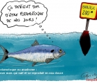 Sans titre 17
