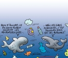 Sans titre 19