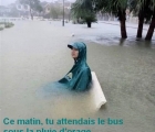 Sans titre 1