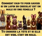 Sans titre 14