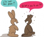 Sans titre 5
