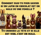 Sans titre 42