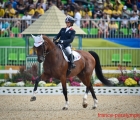 equitation