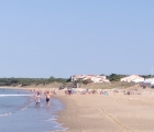 marche