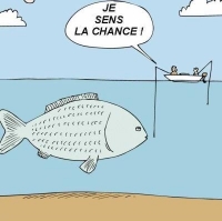 Sans titre 5