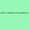 Sans titre 8