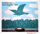 Sans titre 5